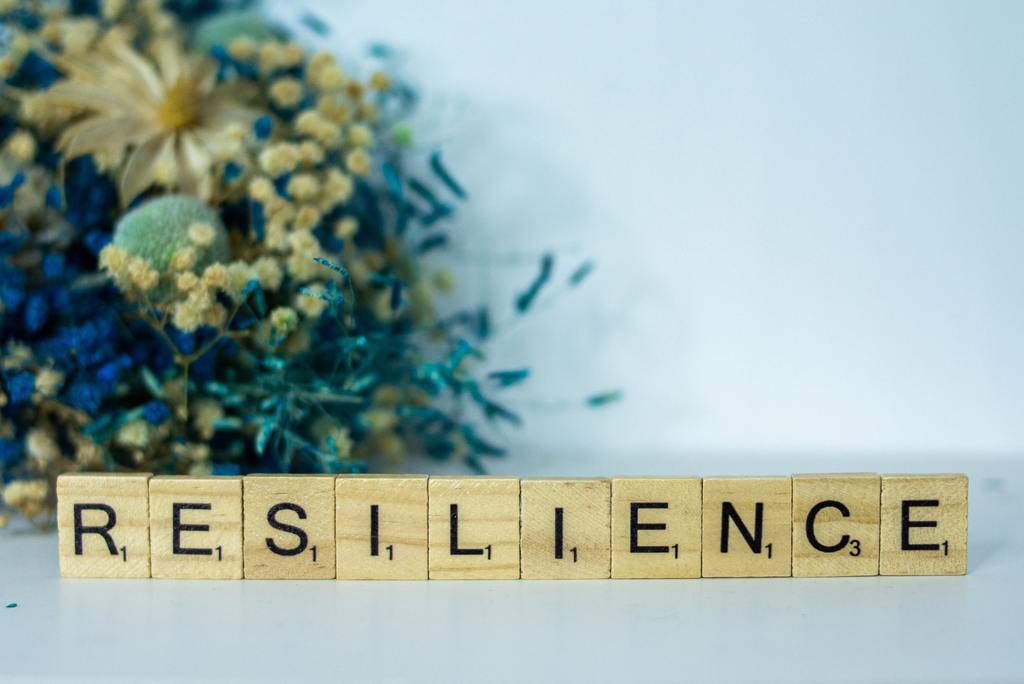 Article: Resilience rather than efficiency for sustainable care